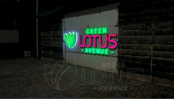 Green Lotus Avenue-Construction-June