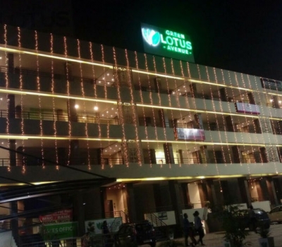 Glimpse of Green Lotus Avenue Diwali Celebration