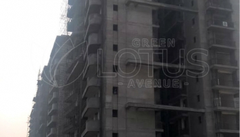 Green-Lotus-Avenue-Construction-Dec-7